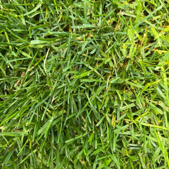 Meet your Posher - Picture 1 of 1